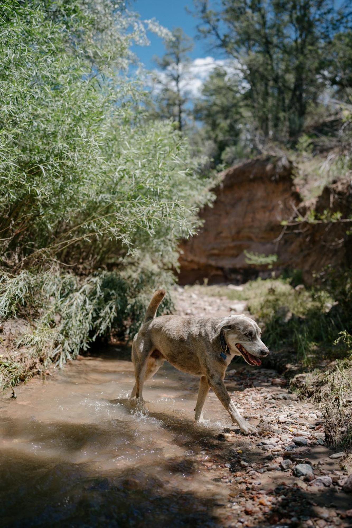 Tesuque Outpost Casita E & F Views In Santa Fe